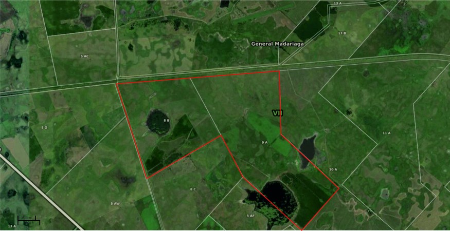 Venta campo 800 hectáreas General Piran
