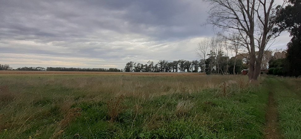 Venta campo 30 Hectáreas a 10 min del centro de Miramar. 