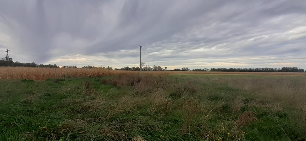 Venta campo 30 Hectáreas a 10 min del centro de Miramar. 