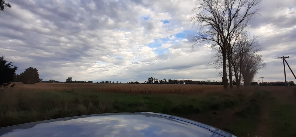 Venta campo 30 Hectáreas a 10 min del centro de Miramar. 