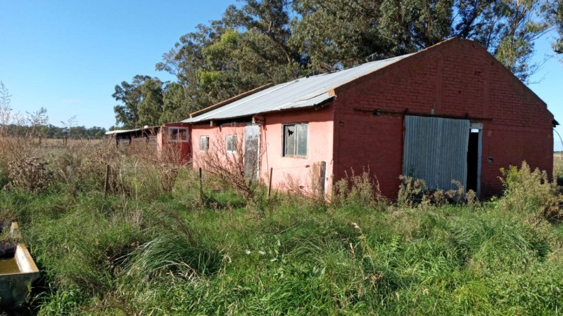 Venta campo 30 Hectáreas a 10 min del centro de Miramar. 
