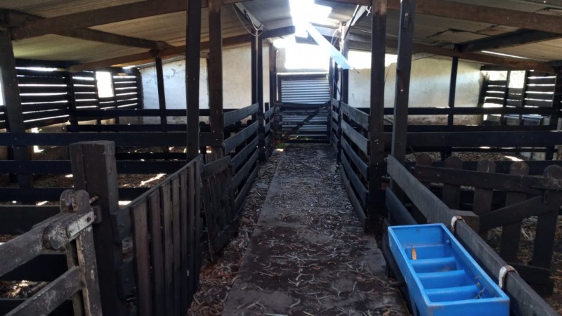 Venta campo 30 Hectáreas a 10 min del centro de Miramar. 