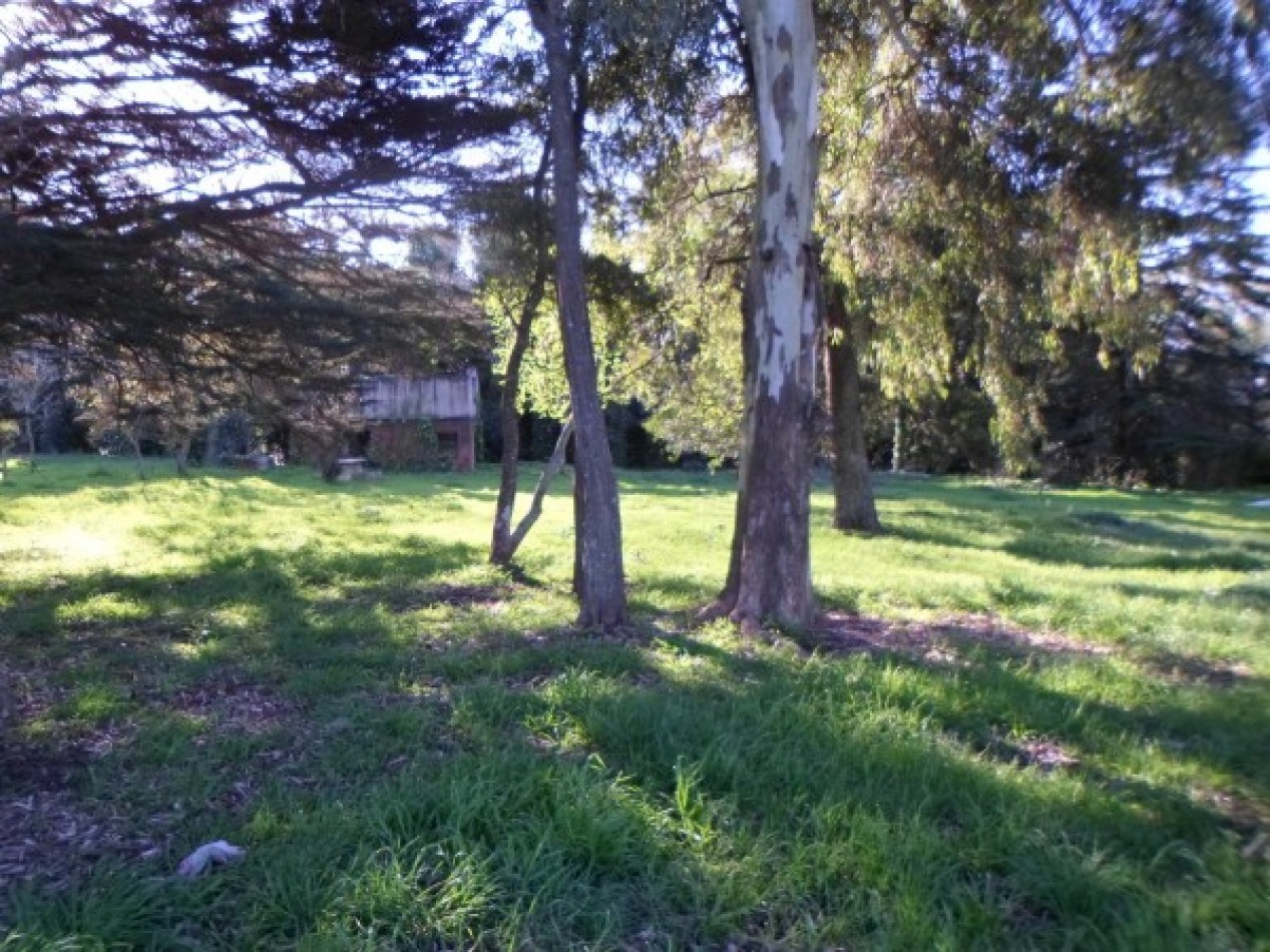 VENTA EXCELENTE LOTE EN COLINA ALEGRE.