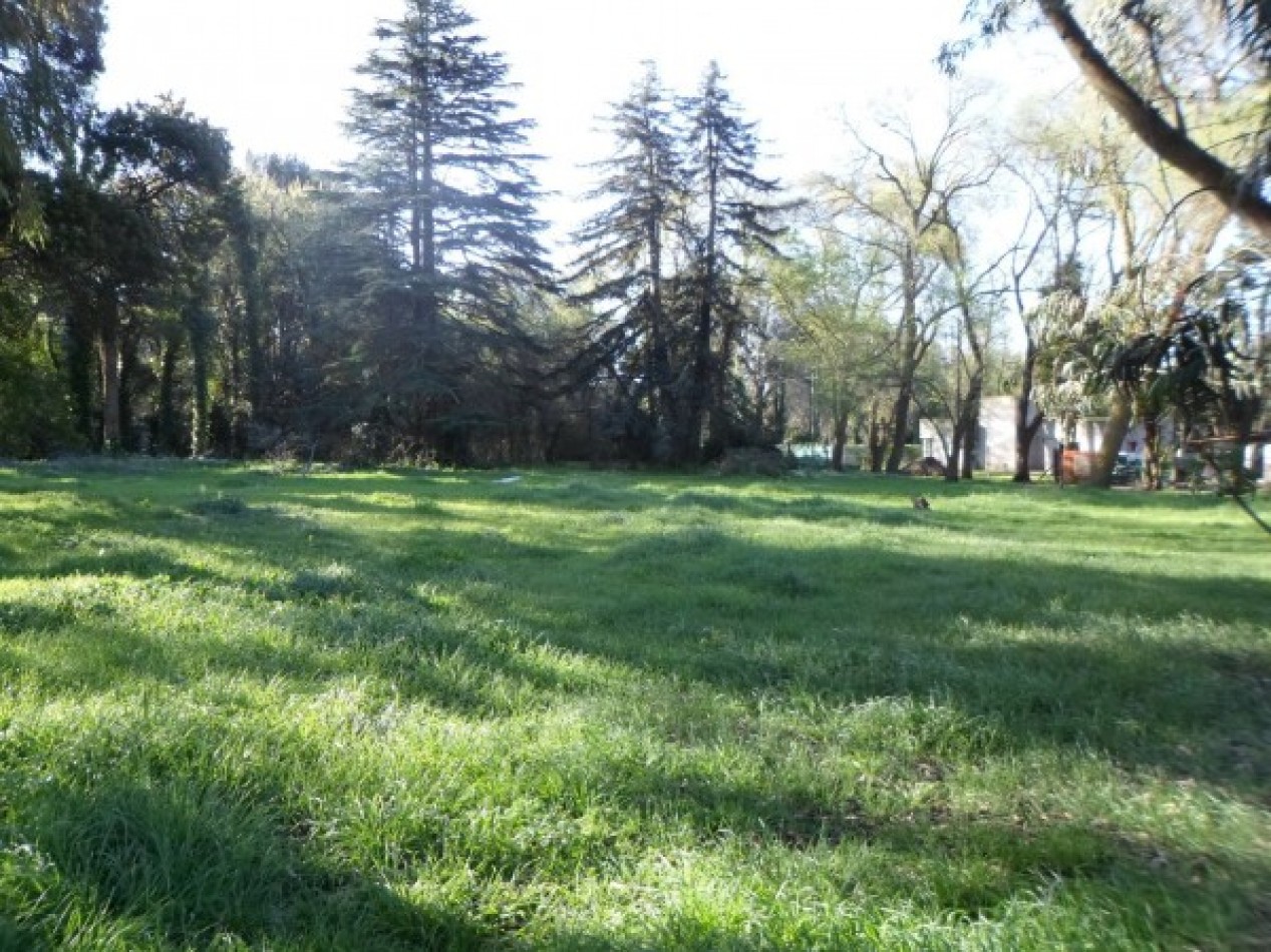 VENTA EXCELENTE LOTE EN COLINA ALEGRE.