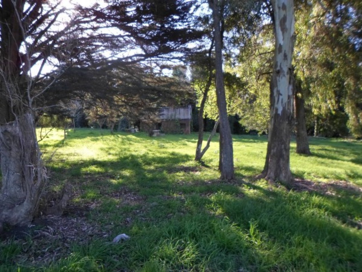 VENTA EXCELENTE LOTE EN COLINA ALEGRE.