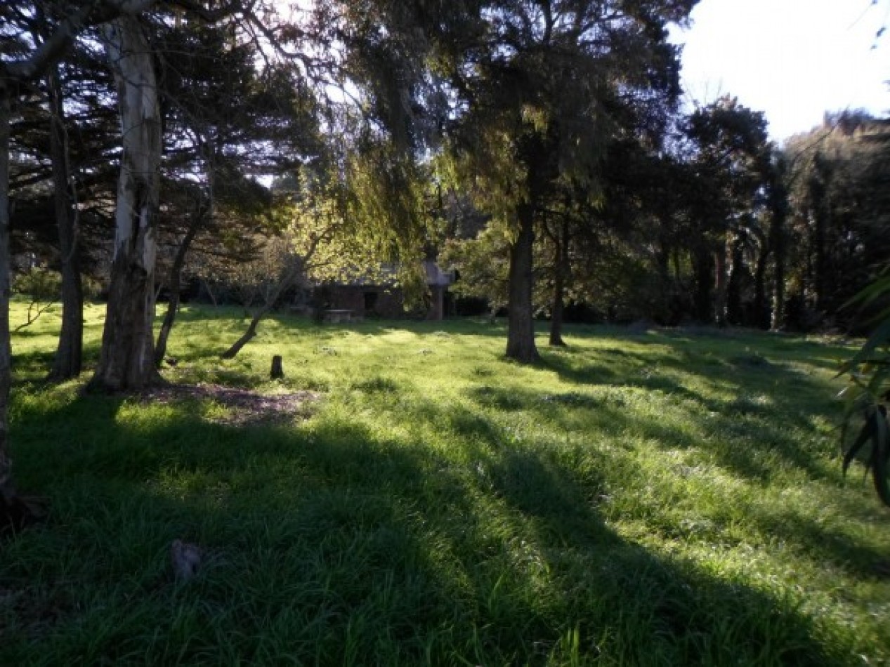 VENTA EXCELENTE LOTE EN COLINA ALEGRE.