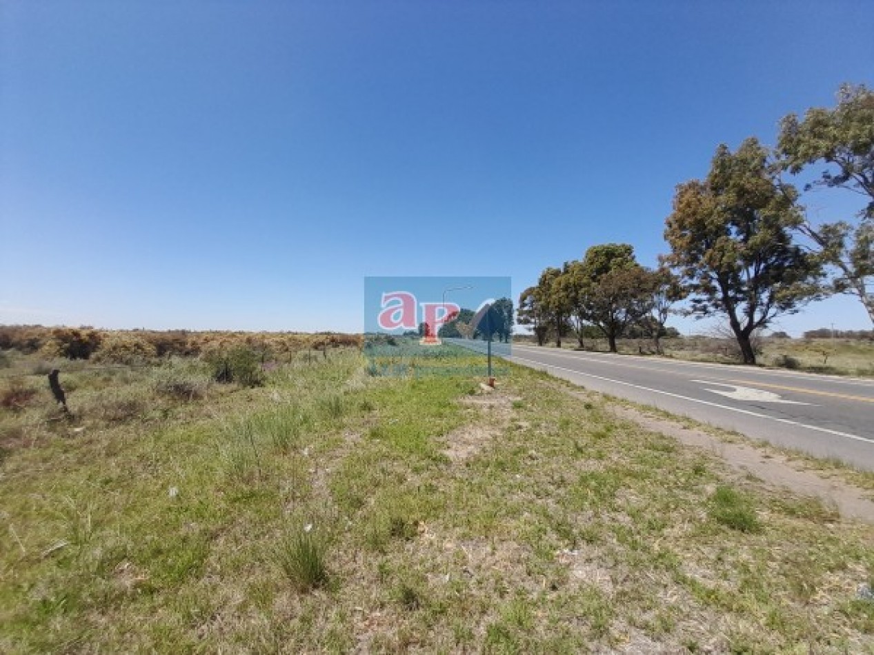VENTA CAMPO 430 HECTAREAS SOBRE RUTA INGRESO A PUNTA ALTA