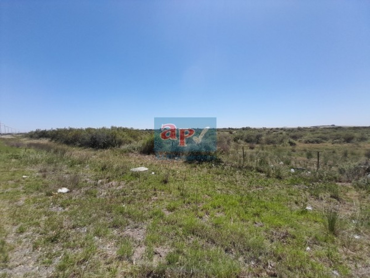 VENTA CAMPO 430 HECTAREAS SOBRE RUTA INGRESO A PUNTA ALTA