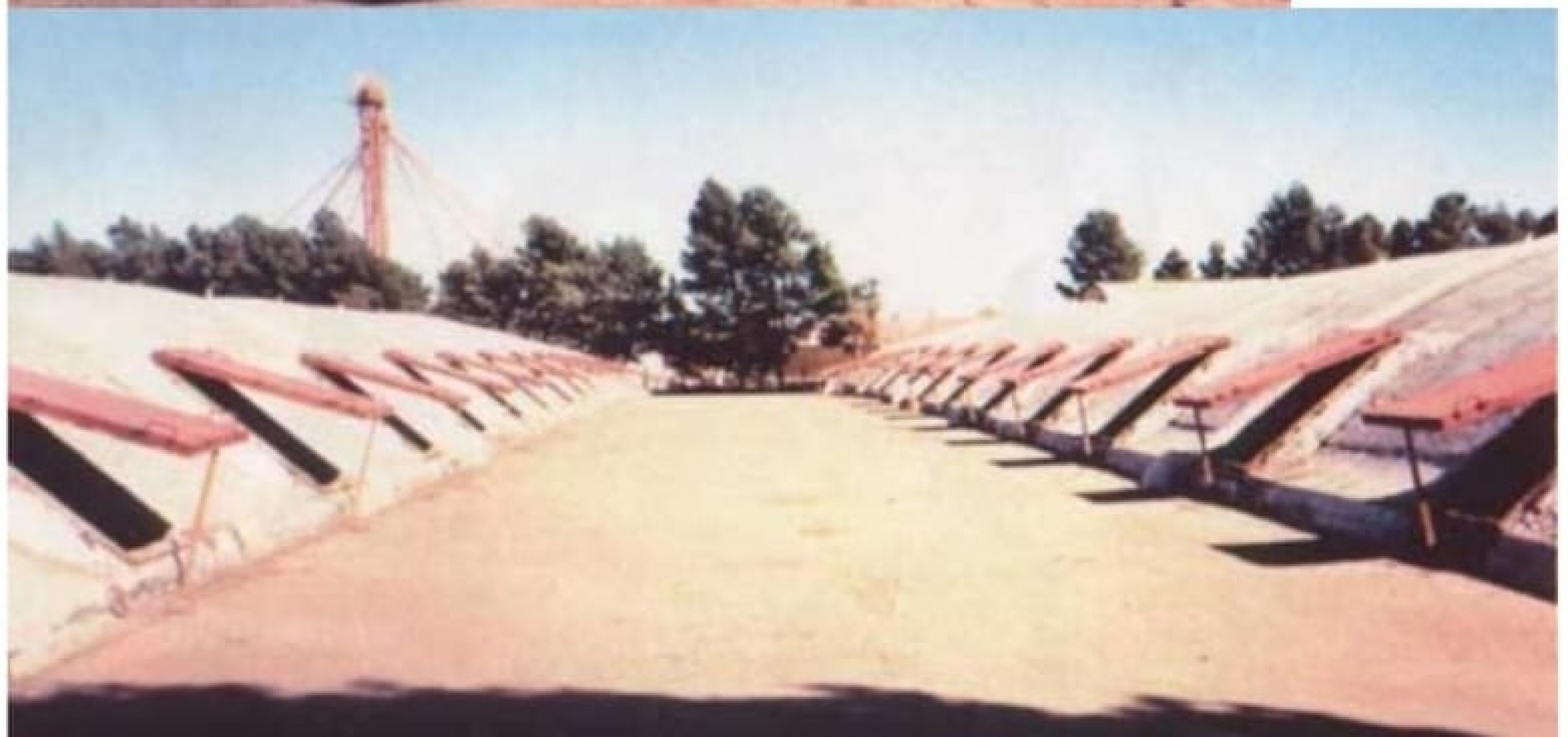 VENTA: PLANTA DE SILOS Y ACOPIO DE CEREALES EN CORONEL DORREGO (BS. AS.)