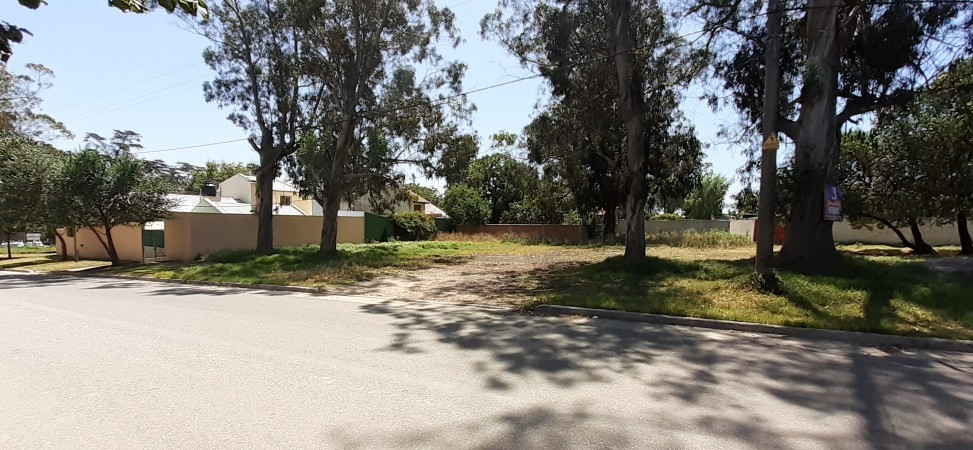 Venta lote   Williams   Morris  c/Edison