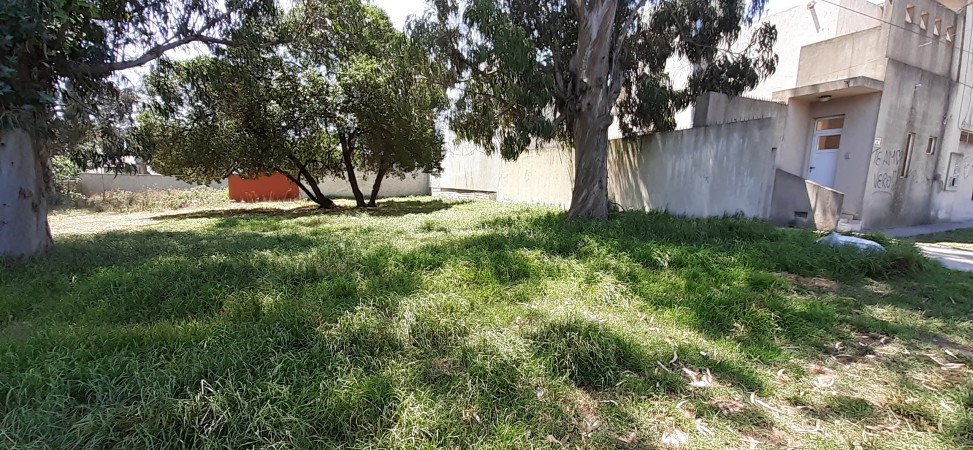 Venta lote   Williams   Morris  c/Edison