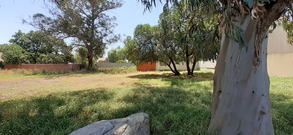 Venta lote   Williams   Morris  c/Edison