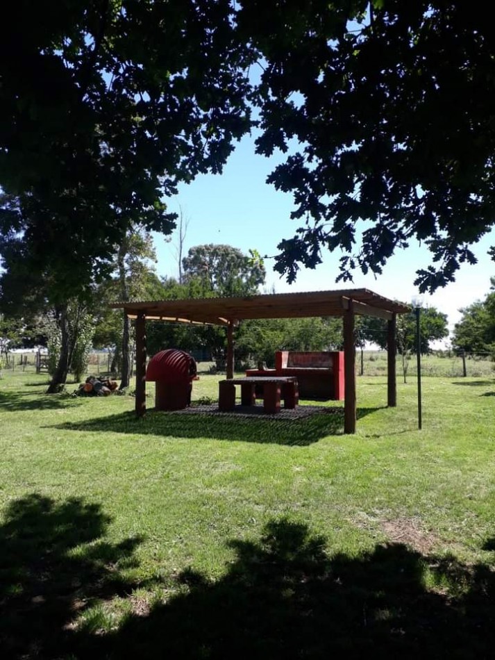 VENTA EXCELENTE  CAMPO 850 HAS - MAIPU - PROV. DE BUENOS AIRES