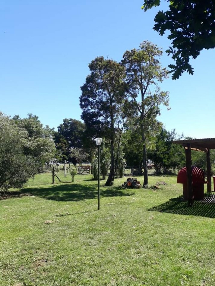 VENTA EXCELENTE  CAMPO 850 HAS - MAIPU - PROV. DE BUENOS AIRES