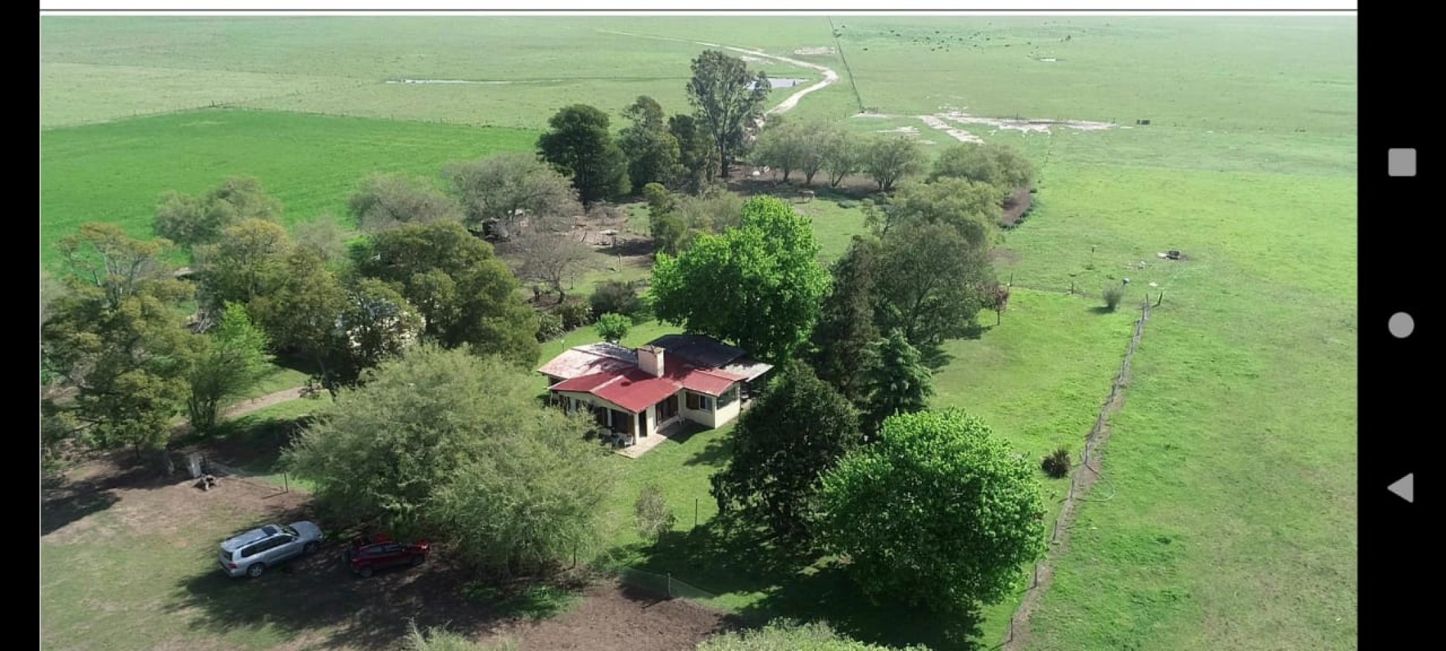 VENTA EXCELENTE  CAMPO 850 HAS - MAIPU - PROV. DE BUENOS AIRES