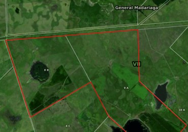 Venta campo 800 hectáreas General Piran