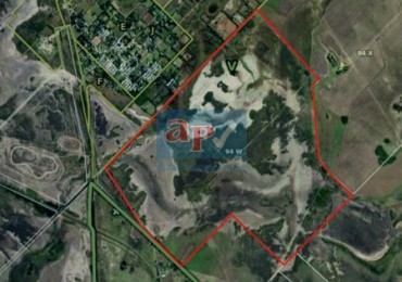 VENTA CAMPO 430 HECTAREAS SOBRE RUTA INGRESO A PUNTA ALTA
