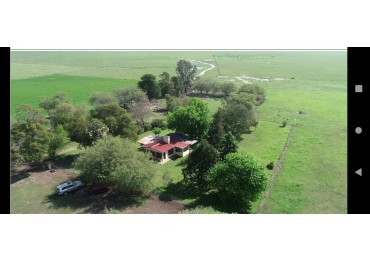 VENTA EXCELENTE  CAMPO 850 HAS - MAIPU - PROV. DE BUENOS AIRES
